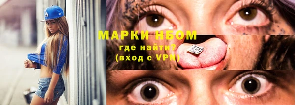 стаф Козловка