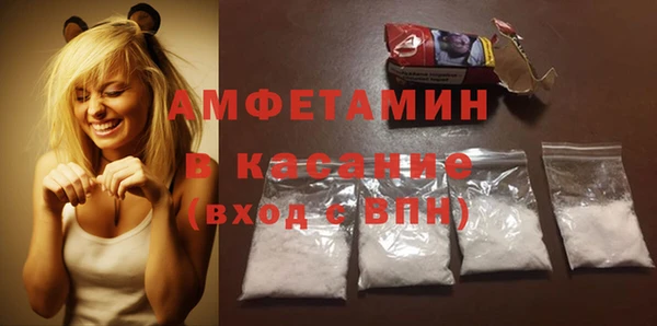 стаф Козловка