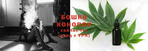 гидра Кодинск
