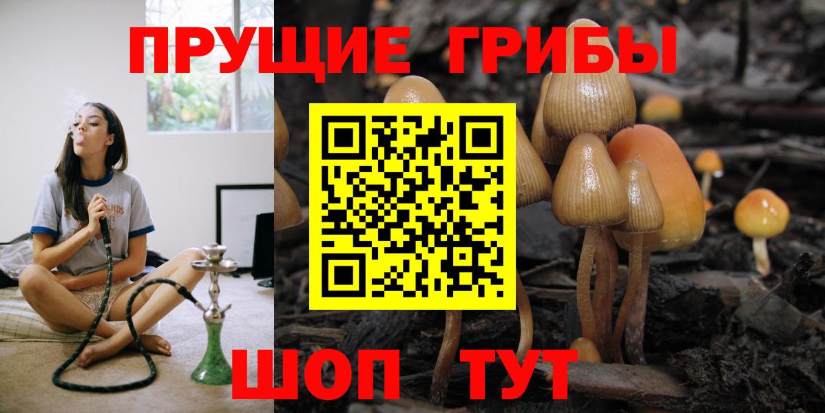 Галлюциногенные грибы GOLDEN TEACHER  Вход с VPN  Краснокамск 